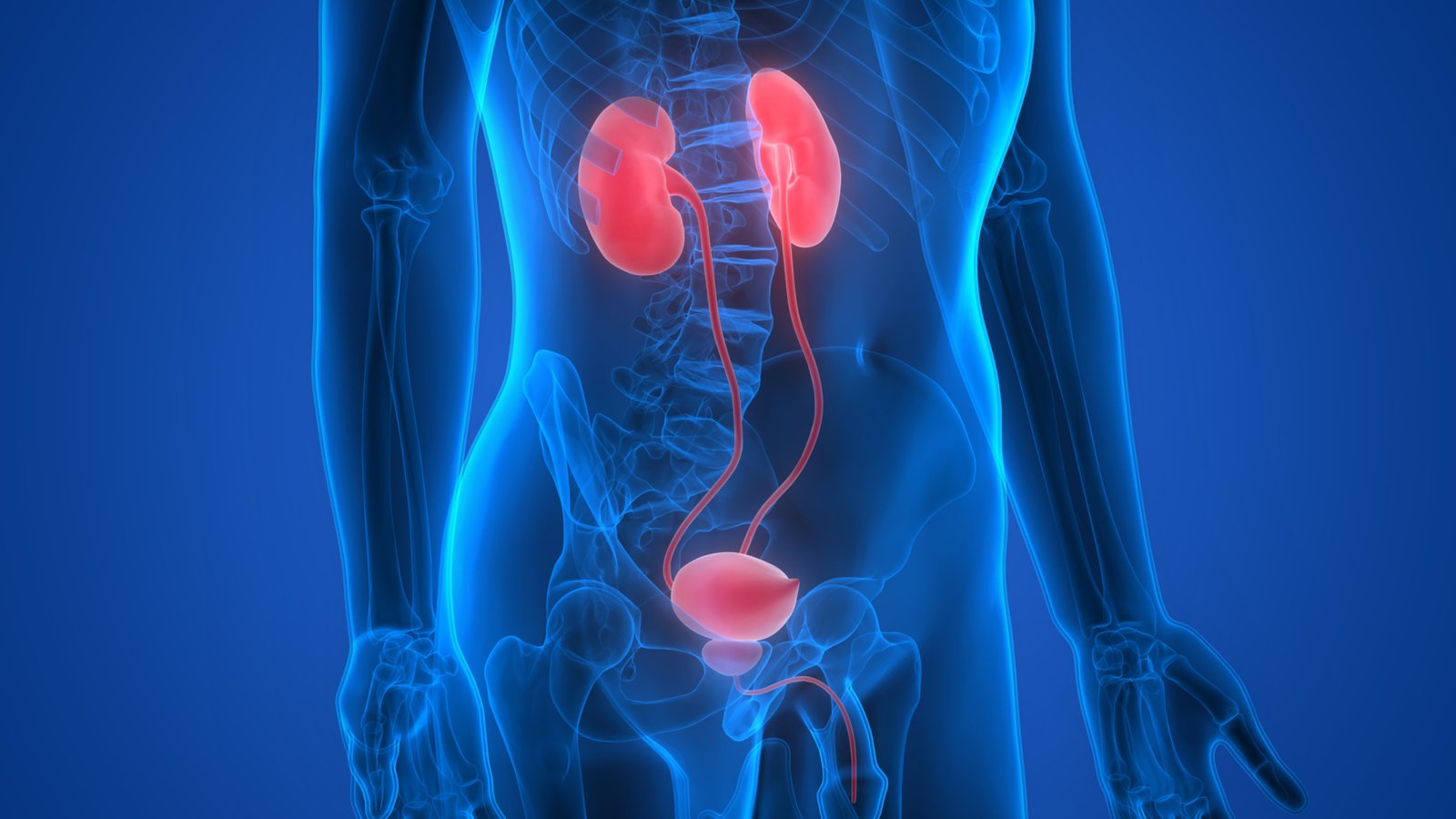 urology cancer