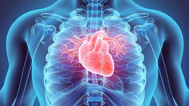 cardiovascular checkup